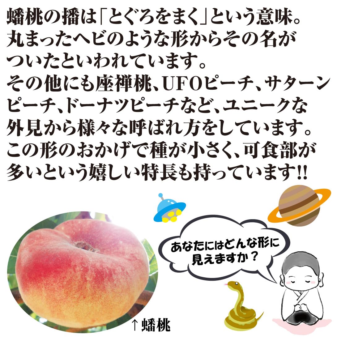 桃 もも 黄金蟠桃 ばんとう 蟠桃 実付き4年生苗木 布鉢栽培 引取限定 桃 もも 黄金蟠桃 ばんとう 蟠桃 実付き4年生苗木 布鉢栽培